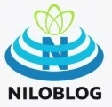 فروش پستی انار دون کن پارسینا